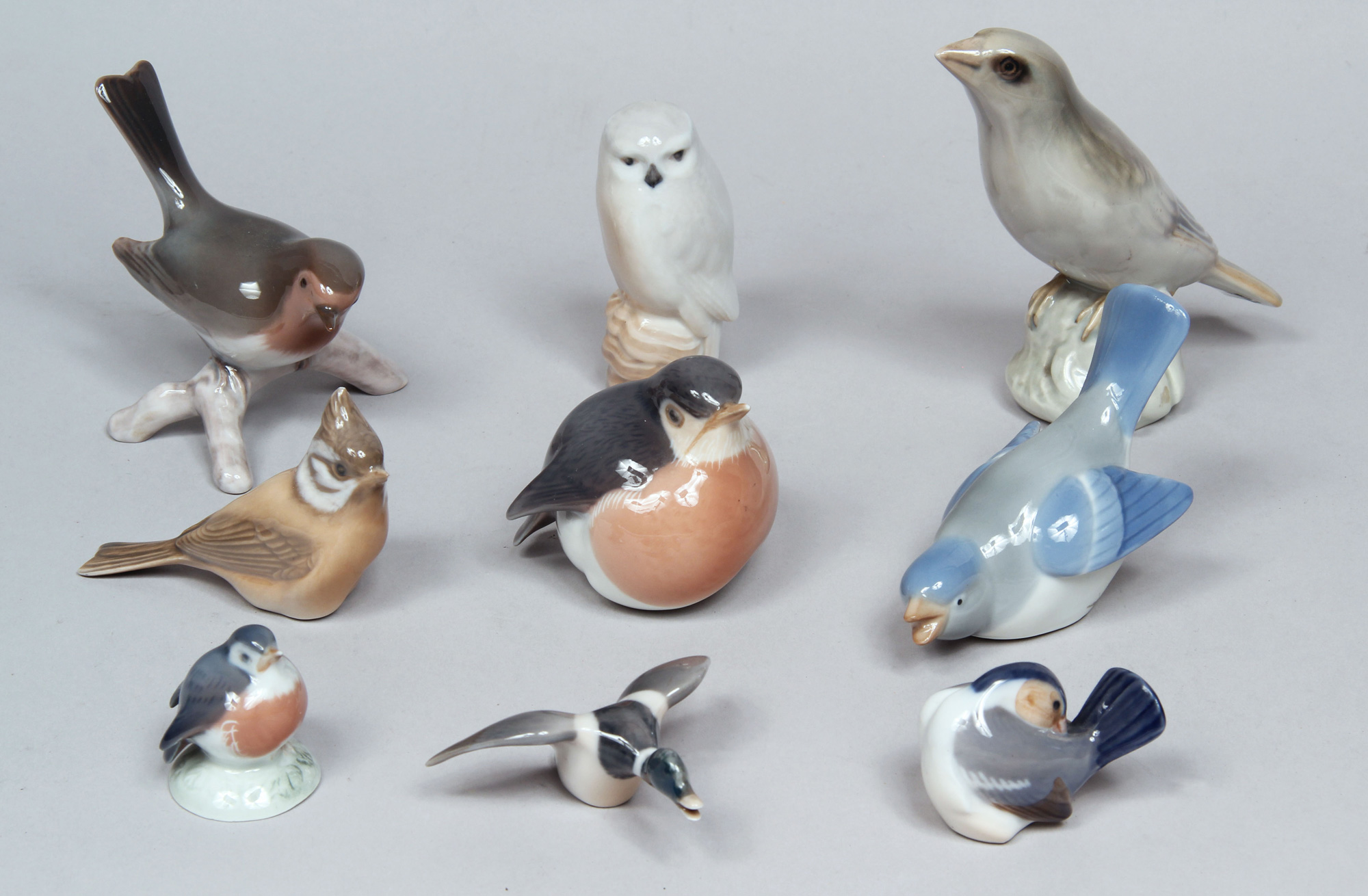 NUEVE AVES DE PORCELANA DINAMARQUESA ESMALTADA. NUEVE AVES DE PORCELANA DINAMARQUESA ESMALTADA.