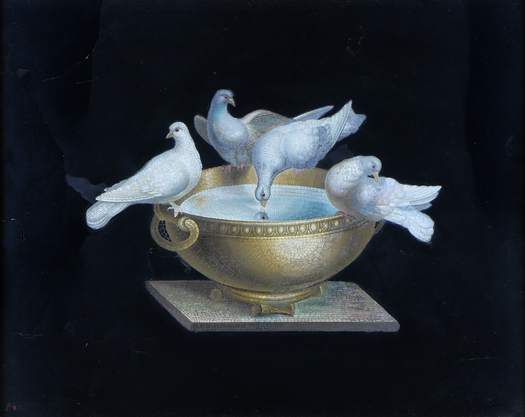 'PALOMAS DE PLINY' 'PALOMAS DE PLINY'