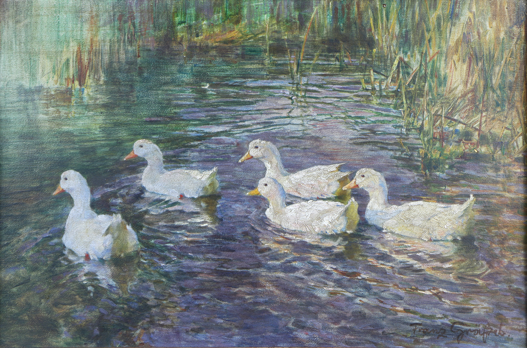  'PATOS' 