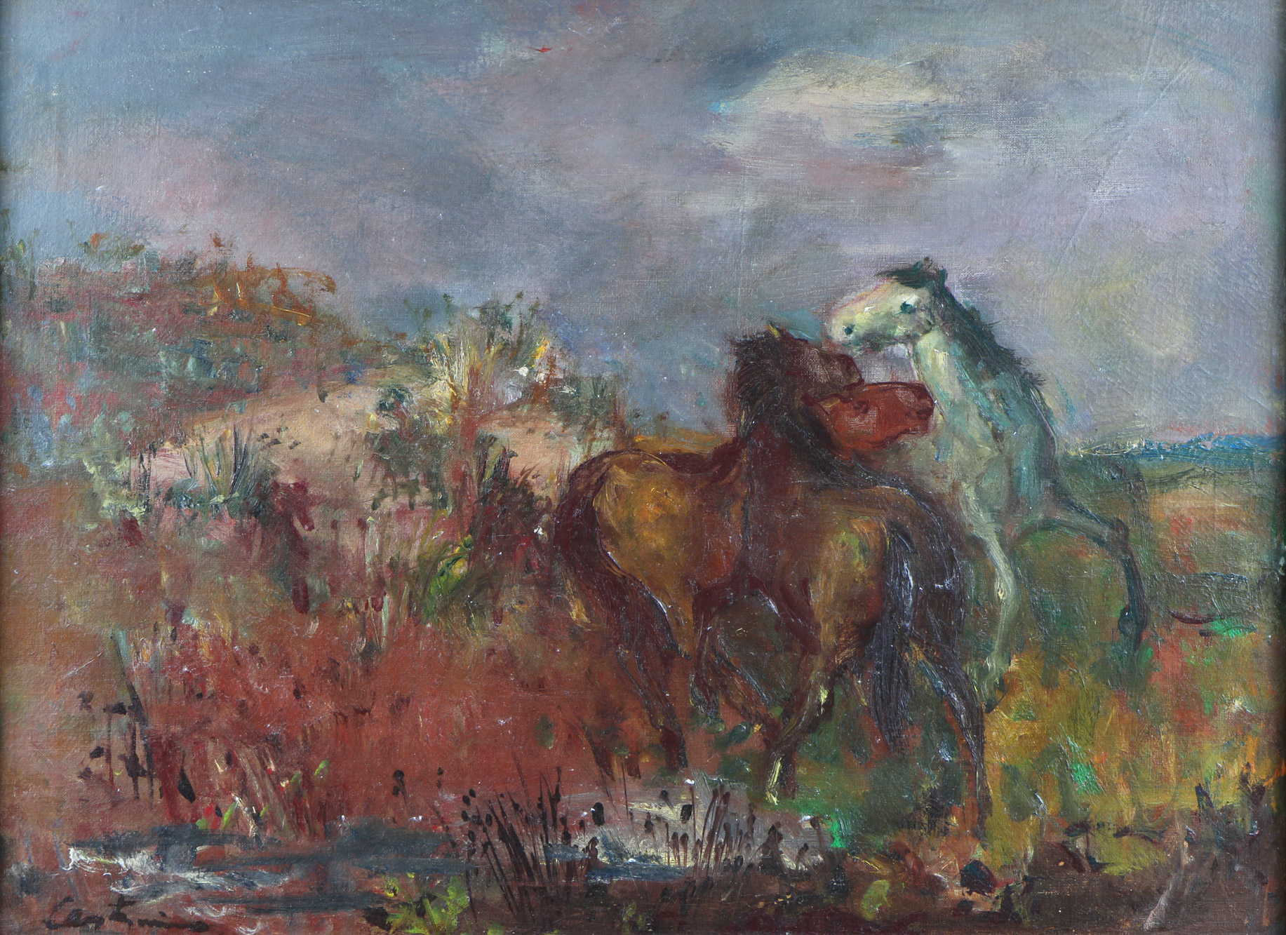 CASTAGNINO, Juan Carlos 'POTROS' CASTAGNINO, Juan Carlos 'POTROS'