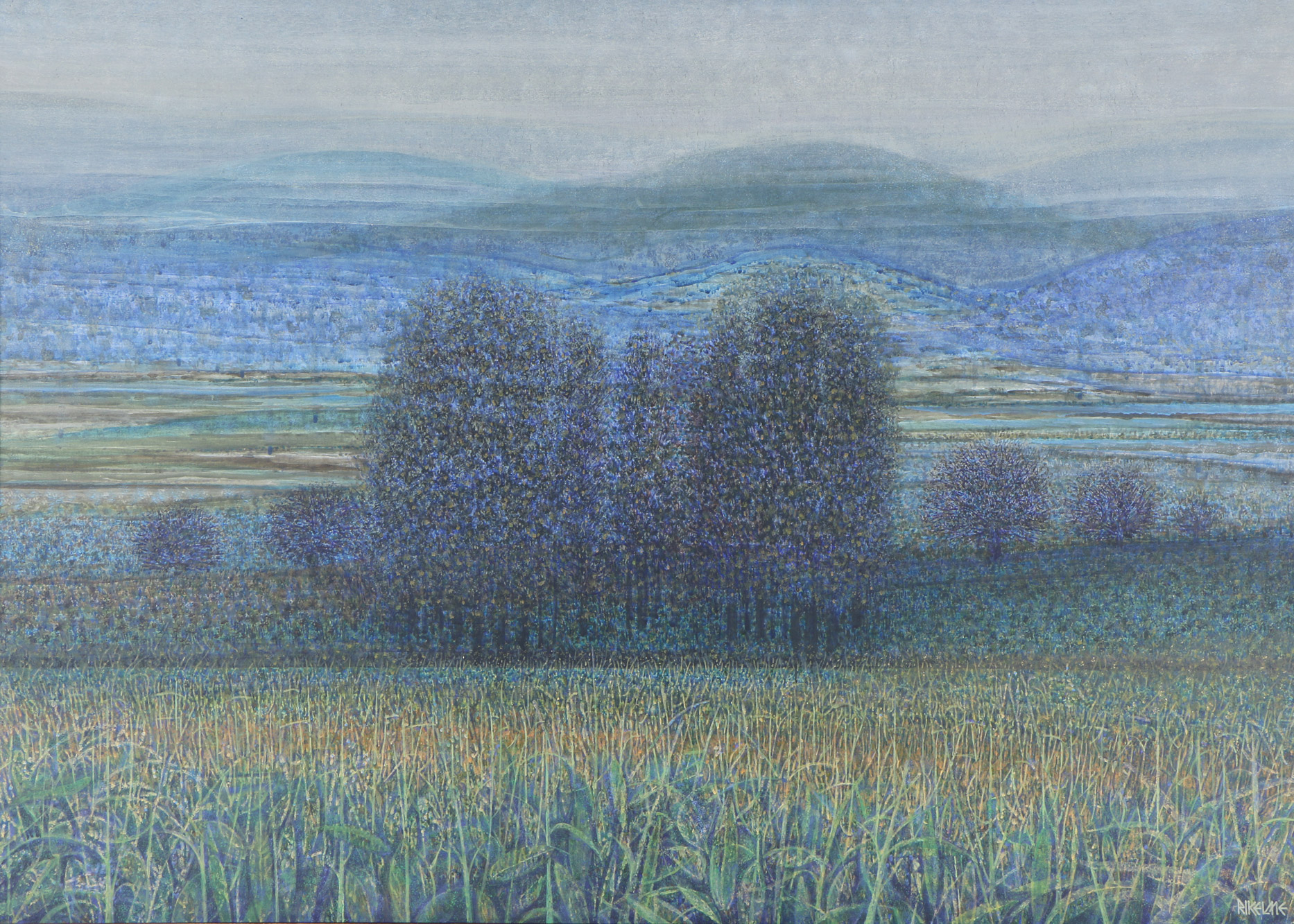 RIKELME, Claudio 'ARBOLES' RIKELME, Claudio 'ARBOLES'