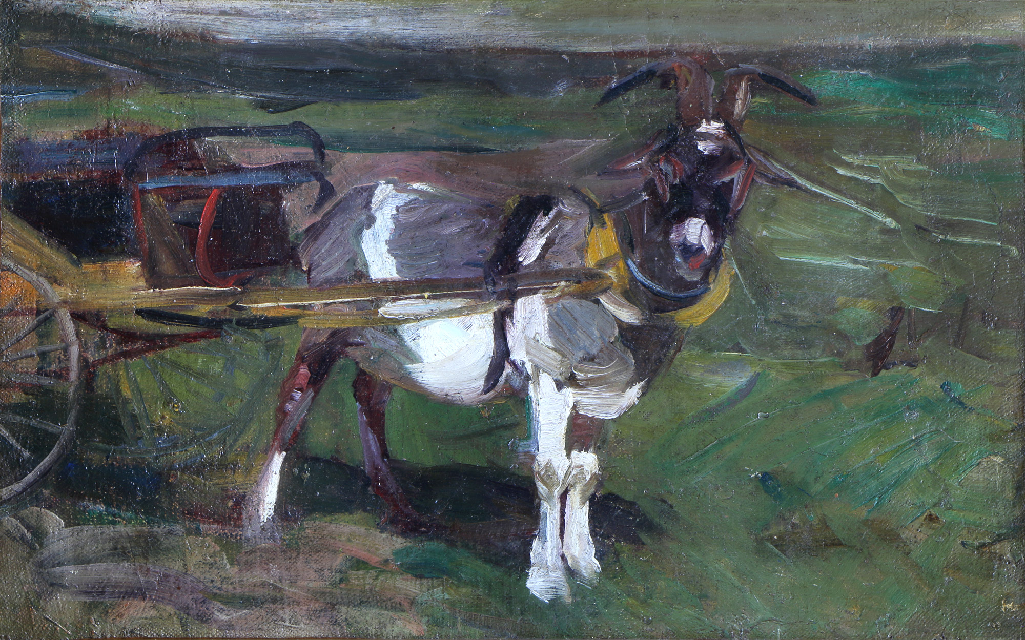 FADER, Fernando 'CHIVO HOLANDES' FADER, Fernando 'CHIVO HOLANDES'