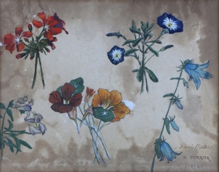 Lote 150: 'FLORES'  'FLORES' 