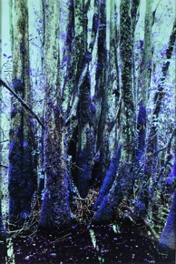 Lote 180: FE CIPRIANI 'LA CURA AZUL'