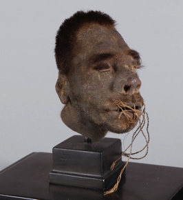 Lote 560: CABEZA REDUCIDA POR LOS JIBAROS ECUATORIANOS.  CABEZA REDUCIDA POR LOS JIBAROS ECUATORIANOS. 