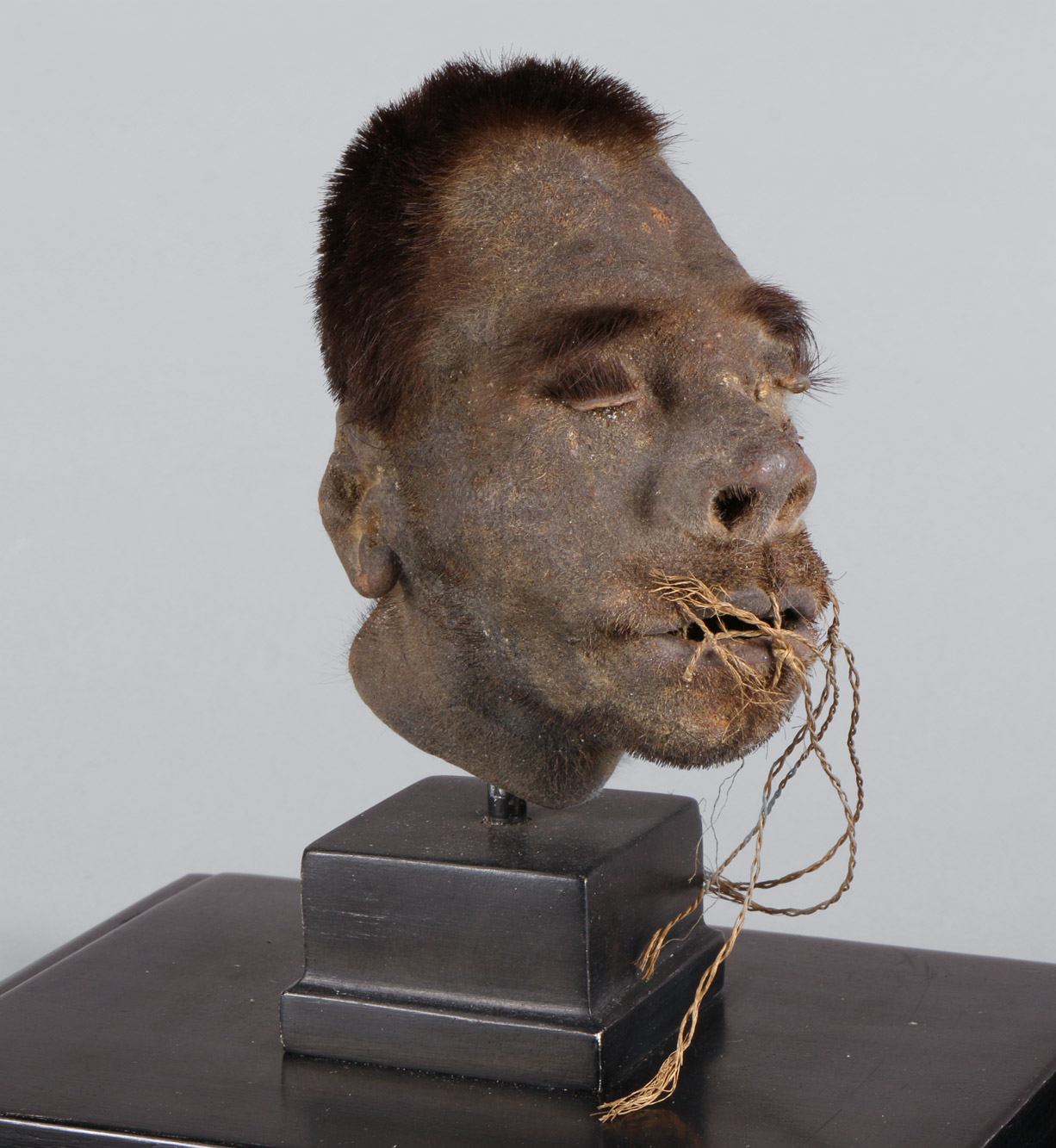 CABEZA REDUCIDA POR LOS JIBAROS ECUATORIANOS. CABEZA REDUCIDA POR LOS JIBAROS ECUATORIANOS.