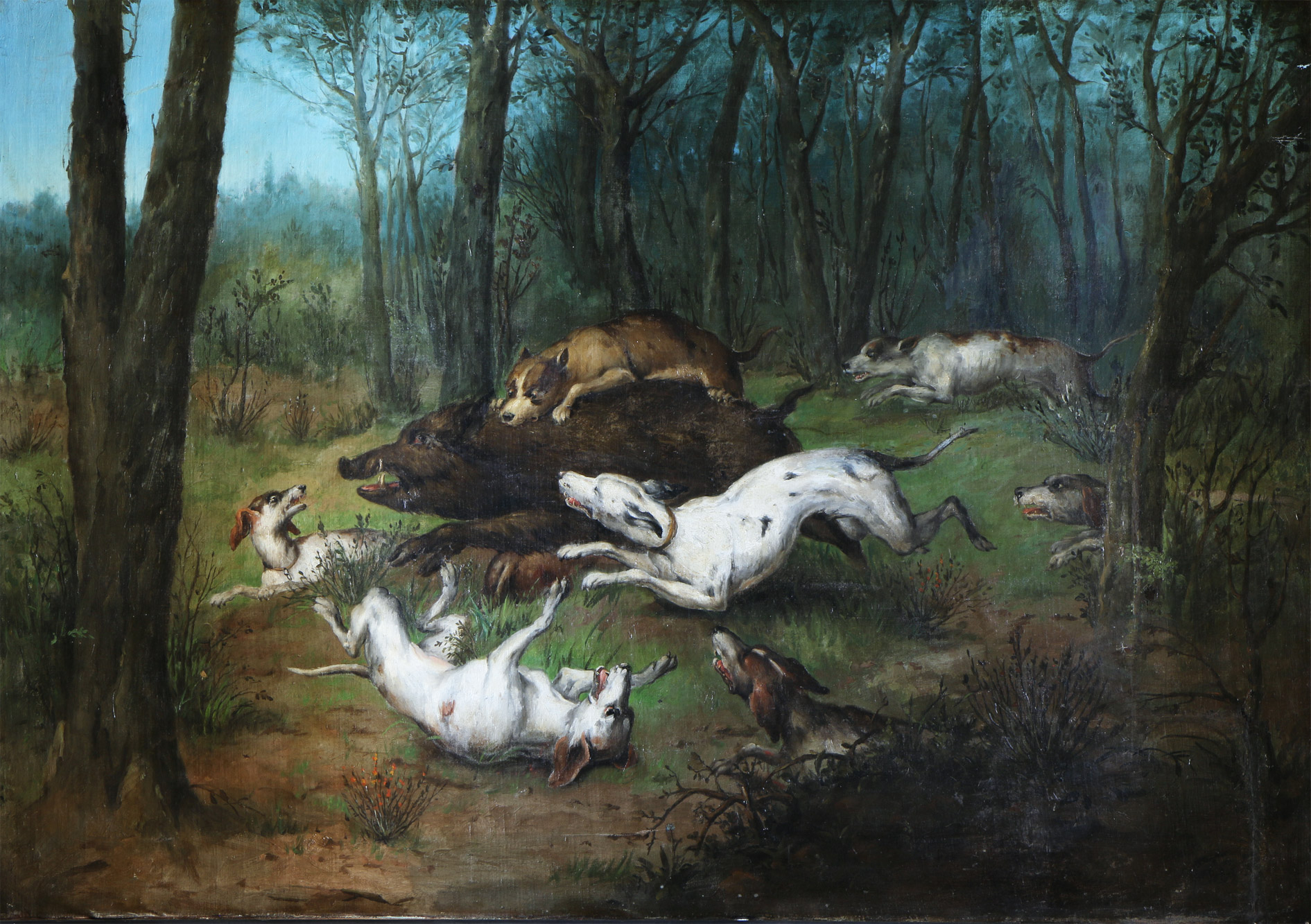 ANONIMO 'CACERIA DEL JABALI' 