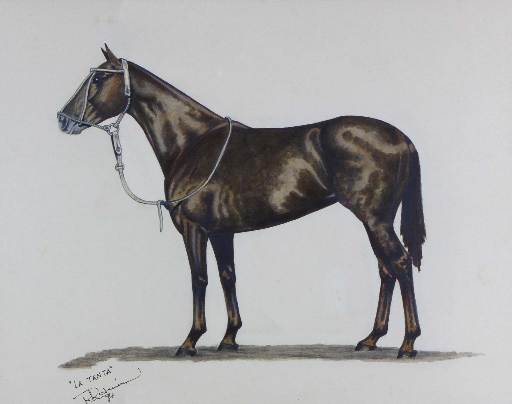 'LA TANTA' 'LA TANTA'