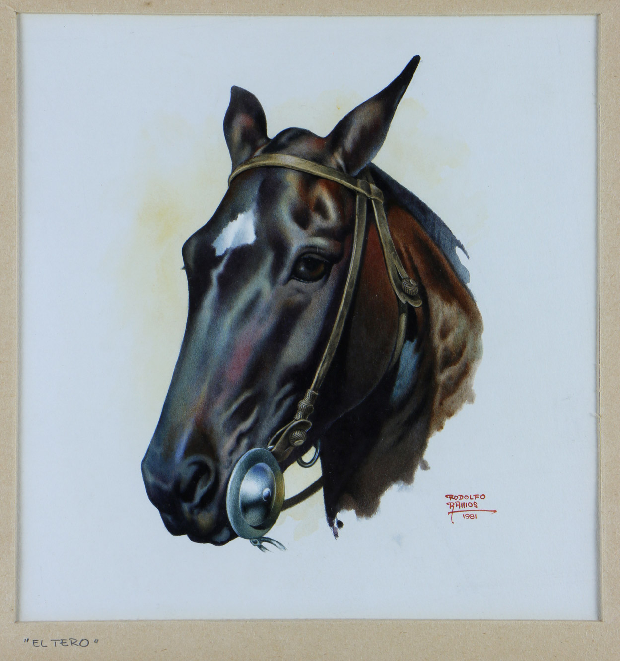 RAMOS, Rodolfo 'EL TERO' RAMOS, Rodolfo 'EL TERO'