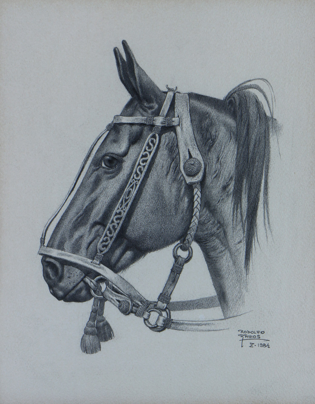 RAMOS, Rodolfo 'CABALLOS' RAMOS, Rodolfo 'CABALLOS'