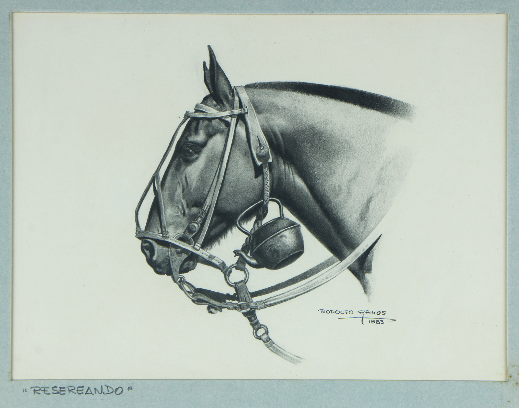 RAMOS, Rodolfo 'RESEREANDO' RAMOS, Rodolfo 'RESEREANDO'