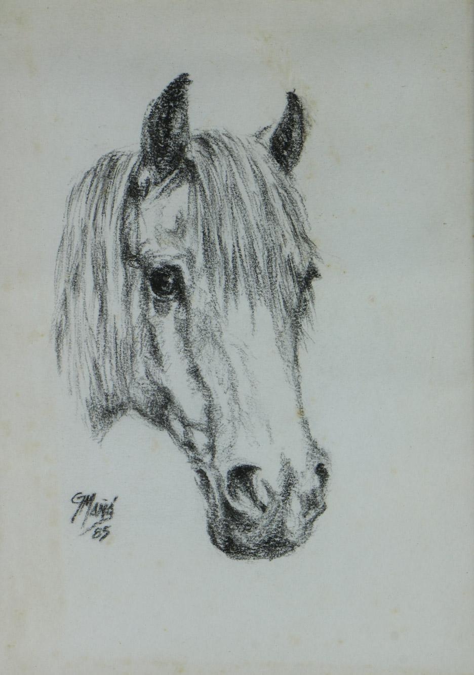  'CABEZA DE CABALLO' 