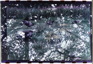 Lote 77: DURAND, Violeta 'SIN TITULO' 