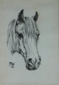 Lote 120: 'CABEZA DE CABALLO'  'CABEZA DE CABALLO' 