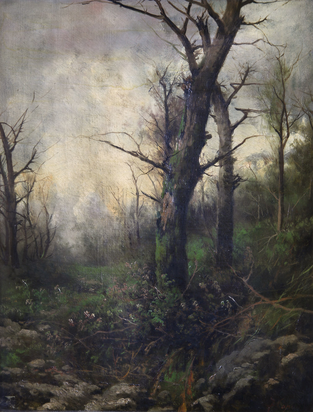 CAPUANO, Francesco 'BOSQUE' 