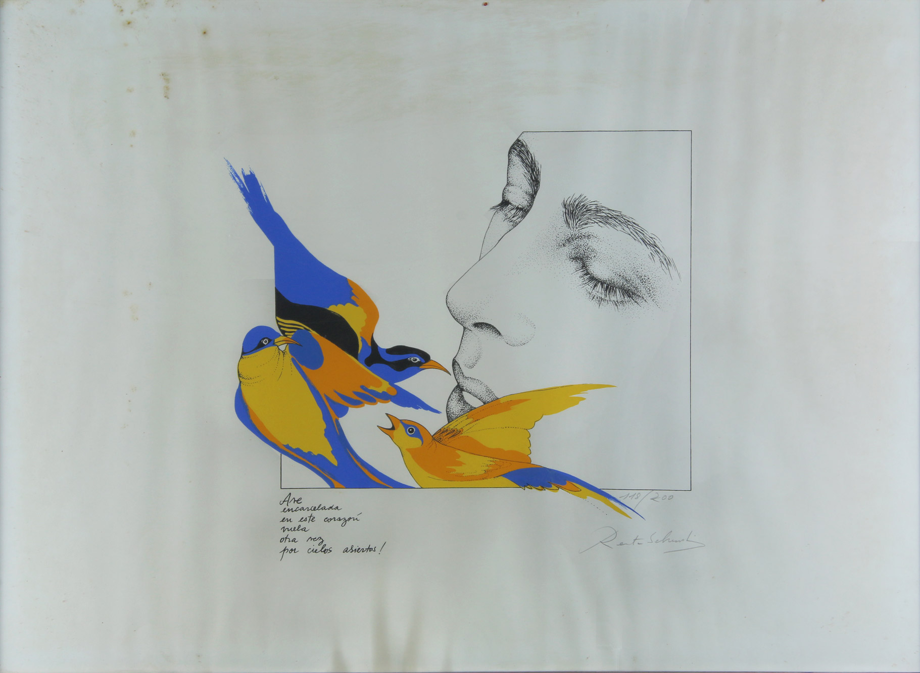 SCHUSSHEIM, Renata 'AVE ENCARCELADA' 