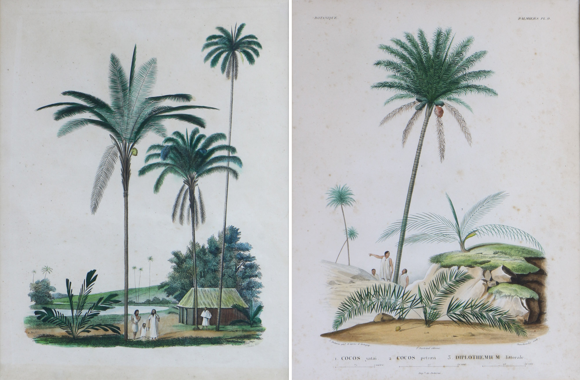  PAR DE ANTIGUOS GRABADOS FRANCESES EN COLORES. 