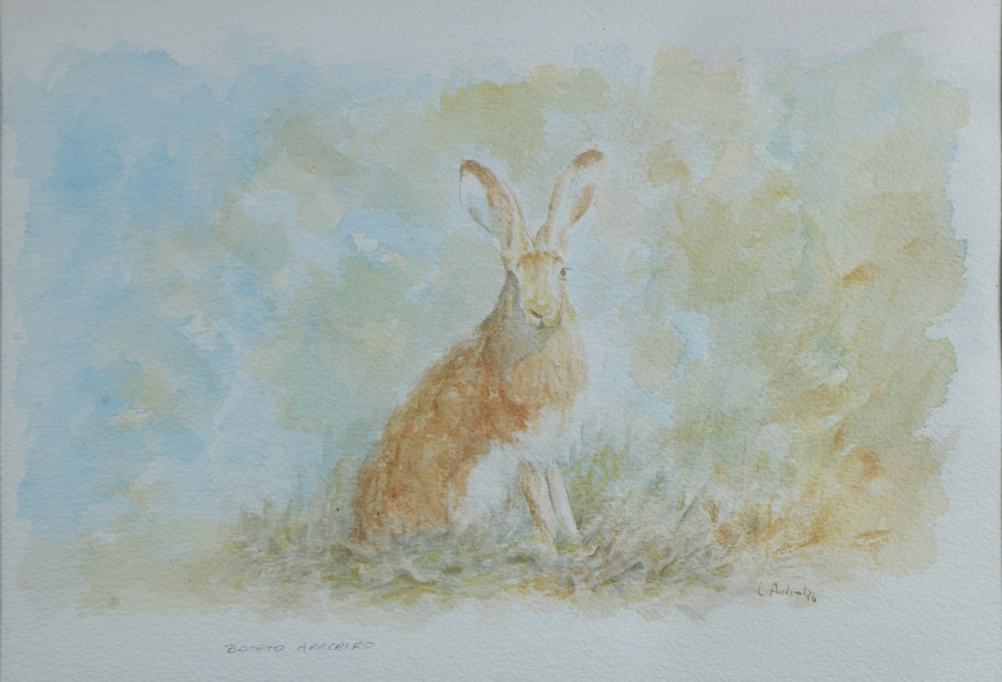 AUDIVERT, Eduardo 'LIEBRE' AUDIVERT, Eduardo 'LIEBRE'