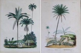 Lote 102: PAR DE ANTIGUOS GRABADOS FRANCESES EN COLORES.  PAR DE ANTIGUOS GRABADOS FRANCESES EN COLORES. 