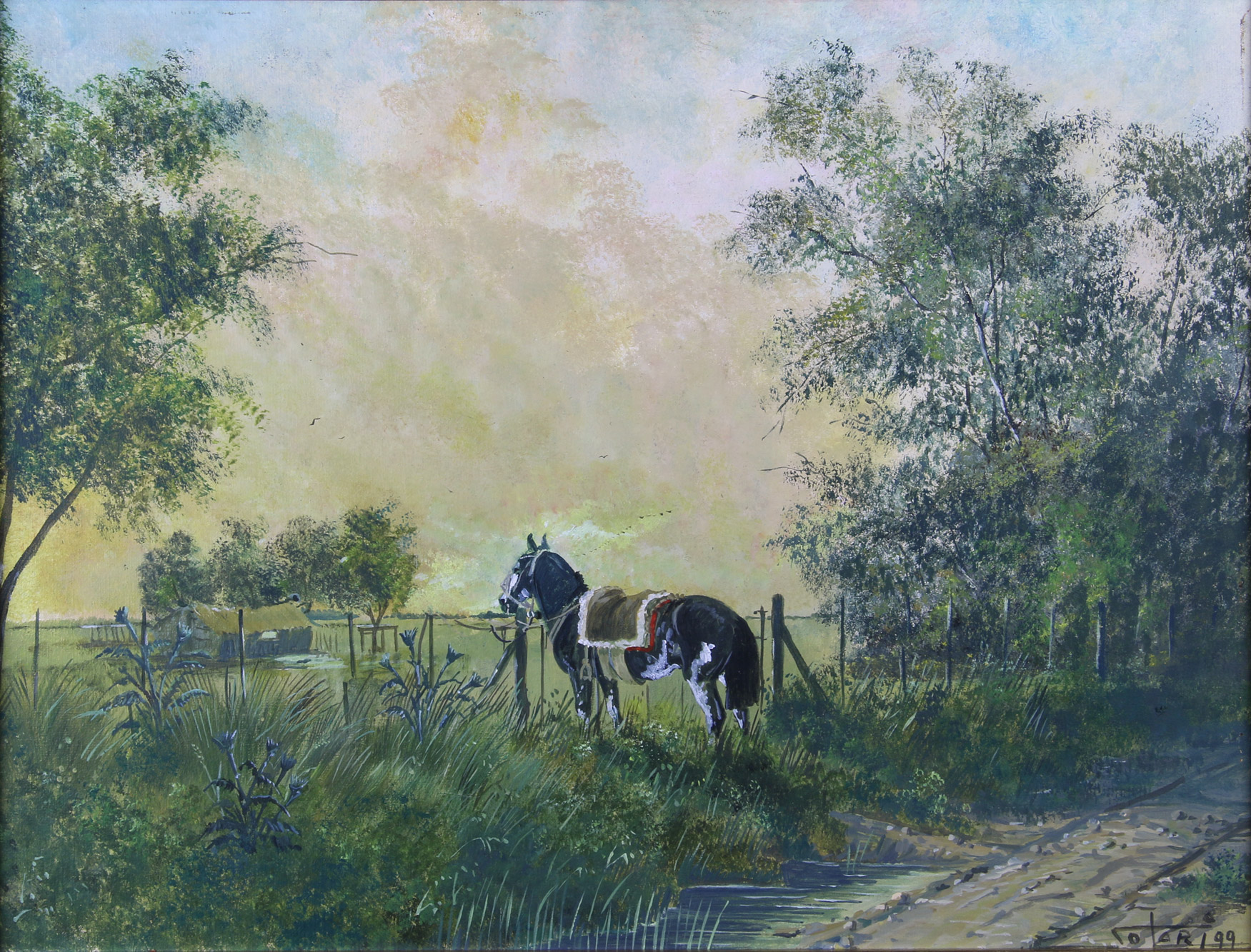 SOLARI, Gustavo 'PLANTON'