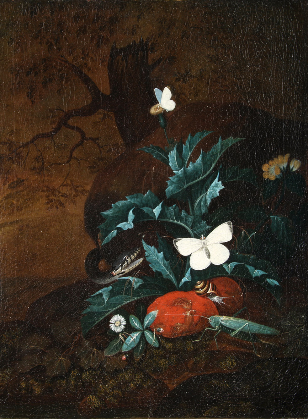 FALCH, Johann 'COMPOSICION CON SERPIENTE, MARIPOSAS Y FRUTOS'
